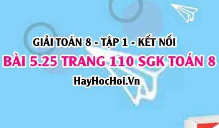 Giải bài 5.25 trang 110 Toán 8 Tập 1 SGK Kết nối tri thức